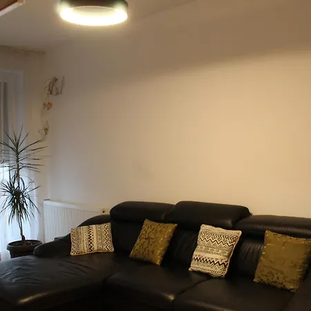 Spiritual With Garden Terrace And Park View Apartment Bucharest